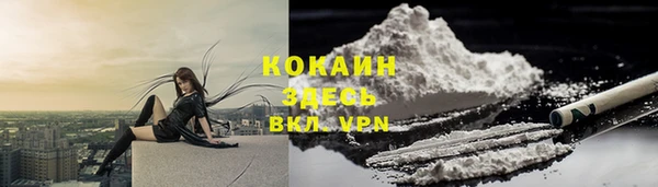 прущие грибы Арсеньев