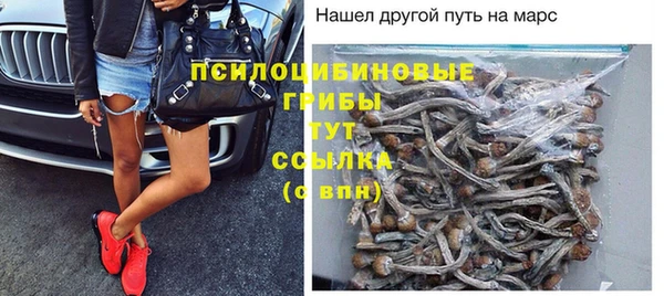 прущие грибы Арсеньев