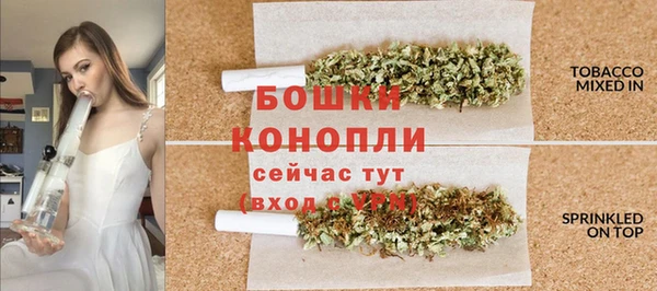 прущие грибы Арсеньев