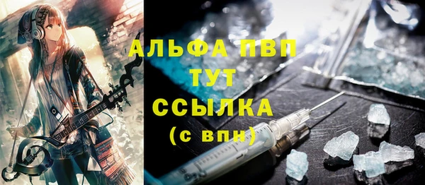 прущие грибы Арсеньев