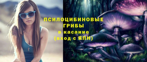 прущие грибы Арсеньев