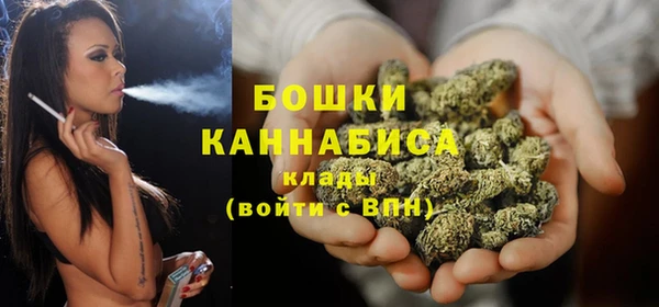 прущие грибы Арсеньев