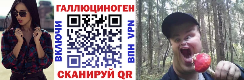 Галлюциногенные грибы Psilocybine cubensis  Аша 